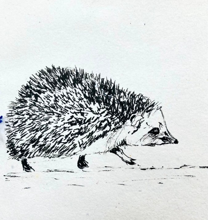 Susan’s third week of Inktober | Chalk Art Group